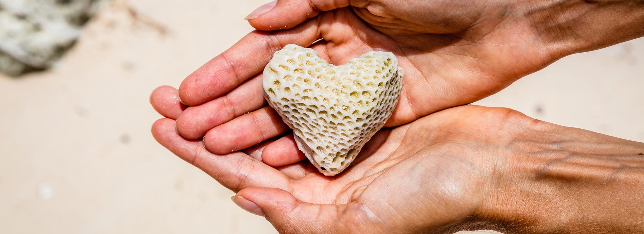 Coral Calcium Health Benefits | The Various Benefits of Coral Calcium