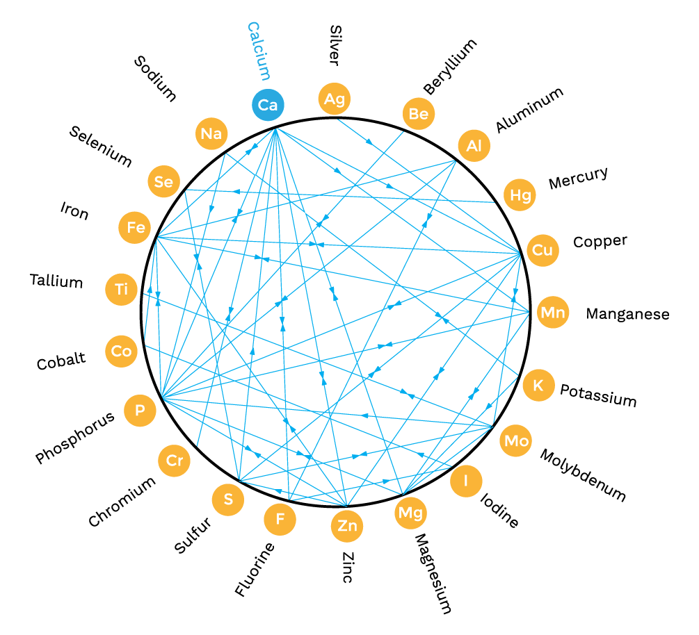 Trace Mineral Benefits of Coral Calcium Coral LLC