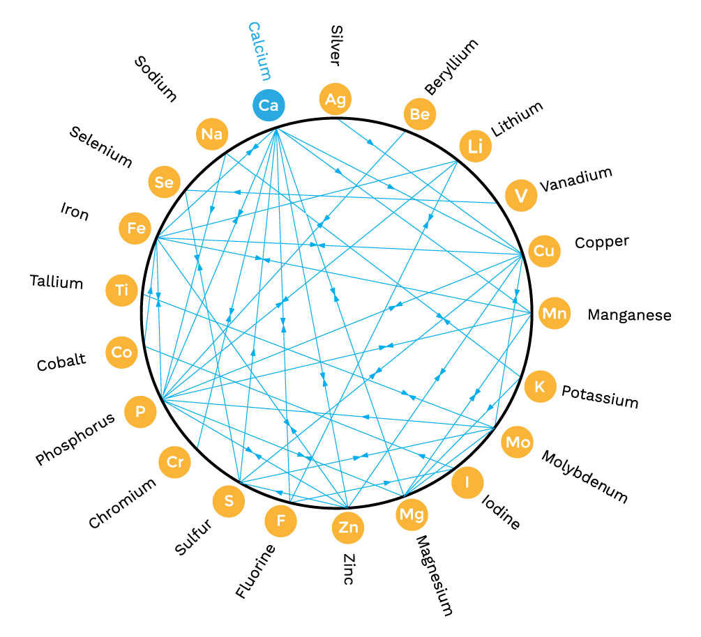 trace and macro minerals